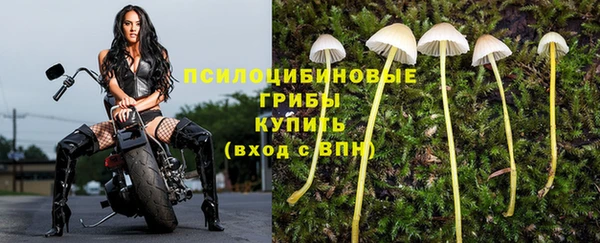 трава Козельск