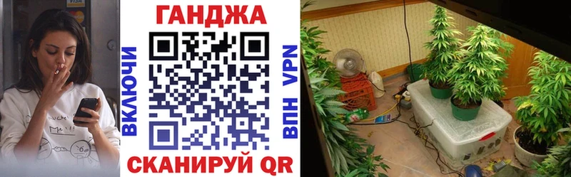 Конопля Ganja Хилок